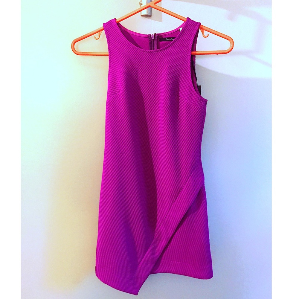 Penelope Tree Fuchsia Purple Dress (Junior size L)